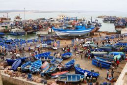 essaouira-harbour.jpg