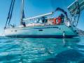 sailorspot_belugaV278.jpg
