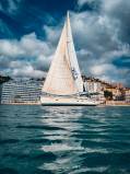 sailorspot_belugaV393.jpg