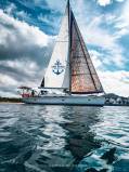 sailorspot_belugaV403.jpg