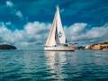 sailorspot_belugaV414.jpg
