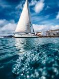 sailorspot_belugaV388.jpg