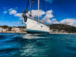sailorspot_belugaV275.jpg
