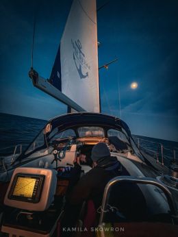 sailorspot_belugaV255.jpg