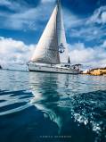 sailorspot_belugaV385.jpg