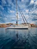 sailorspot_belugaV369.jpg