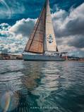 sailorspot_belugaV398.jpg