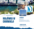 MAJÓWKA.png